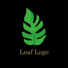 Vector logo design template, green tropical leaf icon simple eps 10