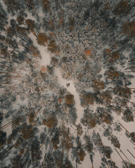 people rest in the snowy forest
