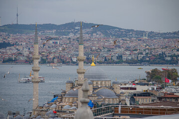 View of the bay in Istanbul (Turkey)
