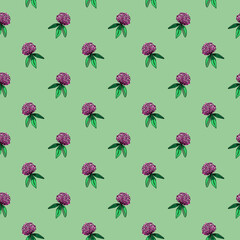 Seamless pattern of clover bud with leaves. Rose flower hand-drawn illustration. Botanical sketch of trefoil