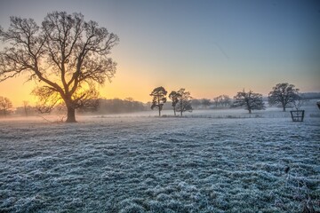 Misty and frosty sunrise in an English parkland.