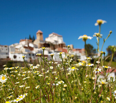 Pueblo de Andalucia 