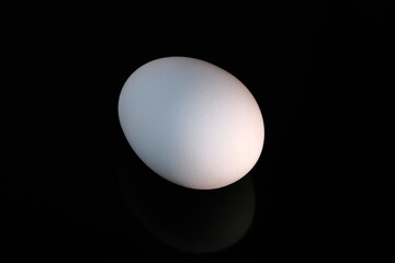 White raw chicken egg