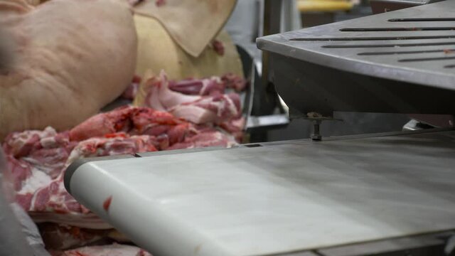 At the meat processing plant, the cut meat is laid out on a conveyor belt