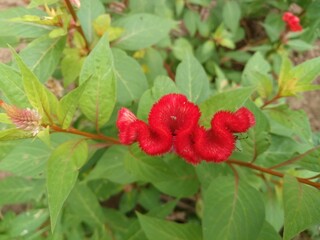 church, architecture, interior, religion, building, altar, old, inside, catholic, temple, palace, ancient, travel, basilica, landmark, people,  god, art, worship,  food