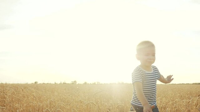 boy run across a wheat field in the park. happy family kid dream concept. boy running across a yellow field in the park. kid son run dream. fun happy family and childhood concept