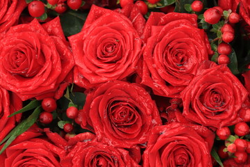 Red bridal roses with drops