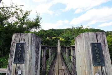 Fototapeta na wymiar 原尻の滝の滝見橋