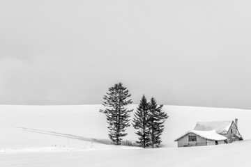 Hokkaido: house in the snow