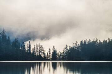 Silhouettes of pointy tree tops on hillside along mountain lake in dense fog. Reflex of pines to calm water of highland lake. Alpine tranquil landscape at early morning. Ghostly atmospheric scenery.