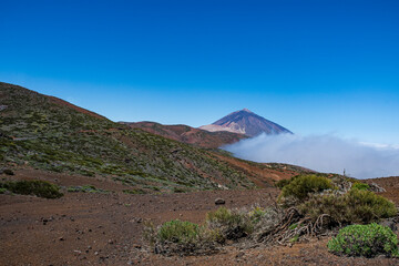 Fototapeta na wymiar Teide National Park in Tenerife, Canary Islands, Spain with its pine forests and the sea of ​​clouds.