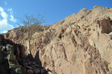 Desert of Sinai Peninsula, Egypt. Near Sharm El Sheikh