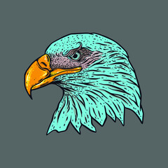 eagle head vector