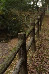 fence