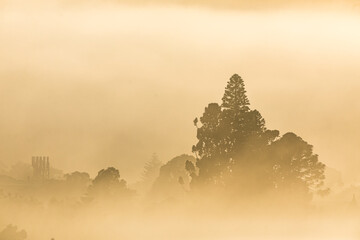 Sunlight through thick brown smoke from bush fires shrouding suburban houses and homes in Sydney, Australia.