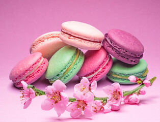 Colorful sweet macarons or macaroons, different flavored cookies on pink background with blooming cherry branch near them.