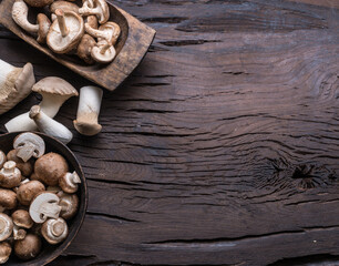 Different brown colored edible mushrooms on wooden table with herbs. Top view.