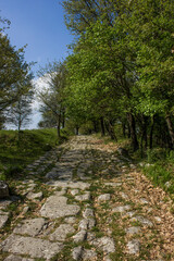 Carsule, Archaeological Park in Italy, the ancient Roman road that runs through central Italy and its ruins