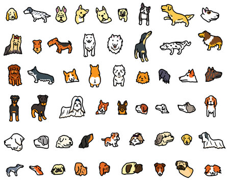 297 Best 甲斐犬 Images Stock Photos Vectors Adobe Stock