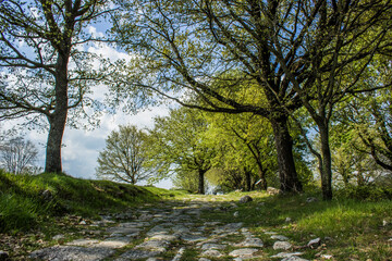 Carsule, Archaeological Park in Italy, the ancient Roman road that runs through central Italy and its ruins