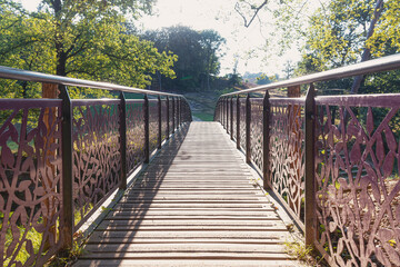 Fototapeta na wymiar Iron bridge in the heathland of the Hoge Veluwe National Park