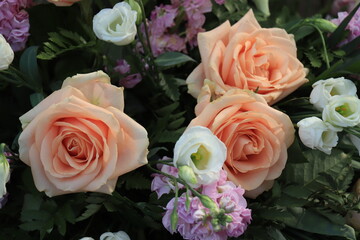 Peach colored roses