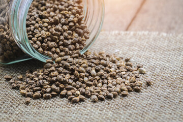 Cannabis seeds in a glass jar, space for text