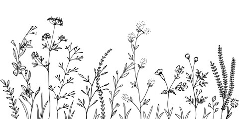 Black silhouettes of grass, flowers and herbs.