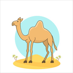 Camel Illustration with desert background