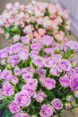 Colorful beautiful flowers bouquet - purple roses at studio, flower shop - close up view. Floristry, romantic, holiday, birthday, valentine day, wedding, celebration concept