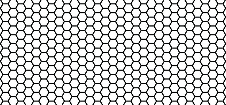 Honeycomb Pattern. Seamless Geometric Hive Background. Abstract Beehive Raster Background. Flat Vector Bee Honey Sign. Black Ans White. Banner