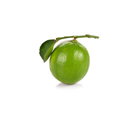 Lime isolated on white background