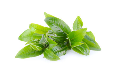 green tea leaf isolated on white background.