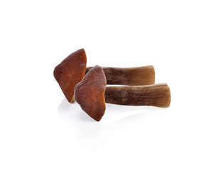 fresh Mushrooms isolated on white background