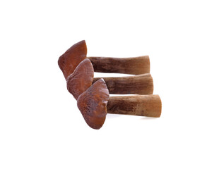 fresh Mushrooms isolated on white background