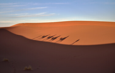 Fototapeta na wymiar Schatten einer Kamelkarawane in einer Sanddüne der Sahara