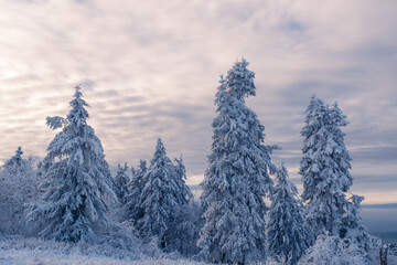 Wonderful Winter Wonderworld on the highest mountain in Hesse / Germany, the Great Feldberg