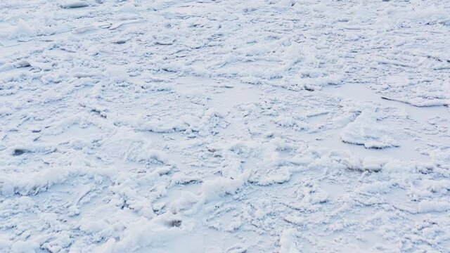 Forest soil under snow. Deep remote place. Winter forest background. Beautiful winter texture, wild nature. Aerial shot, close up. High quality.