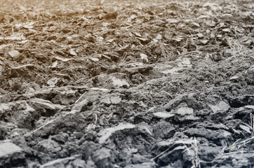 Plowed black earth soil on field