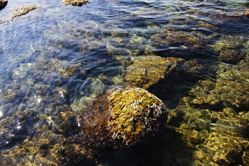 sea side of livorno , Tuscany , Italy