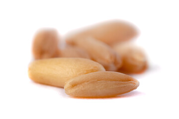 A pile of oat seeds isolated on white