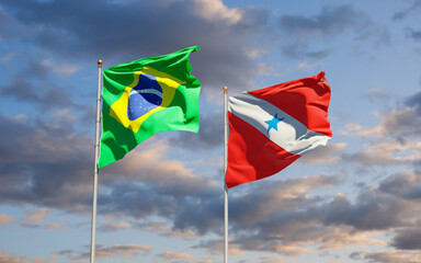 Para Brazil State Flag