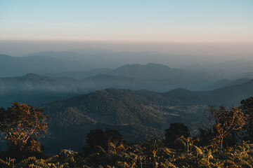 Mountain forest view in the evening