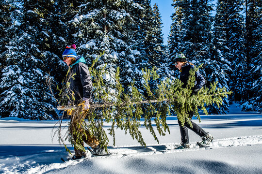 women carrying out christmas tree