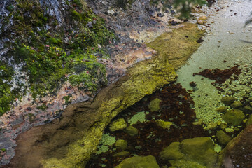 brown leaves and rocks in clear water from a mountain torrent