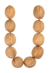 Walnuts lined in the shape of the letter 