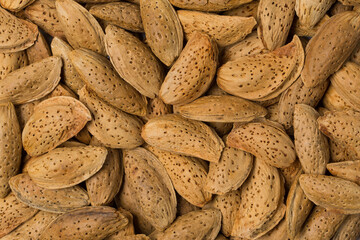 Almond nut in studio