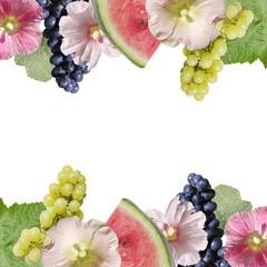 Beautiful background of mallow and grapes. Isolated