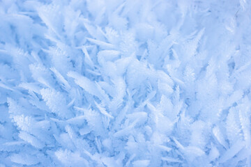 Natural snowflakes snow crystals ice rime frost background close up selective focus