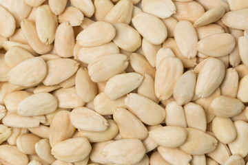 Almond nut in studio